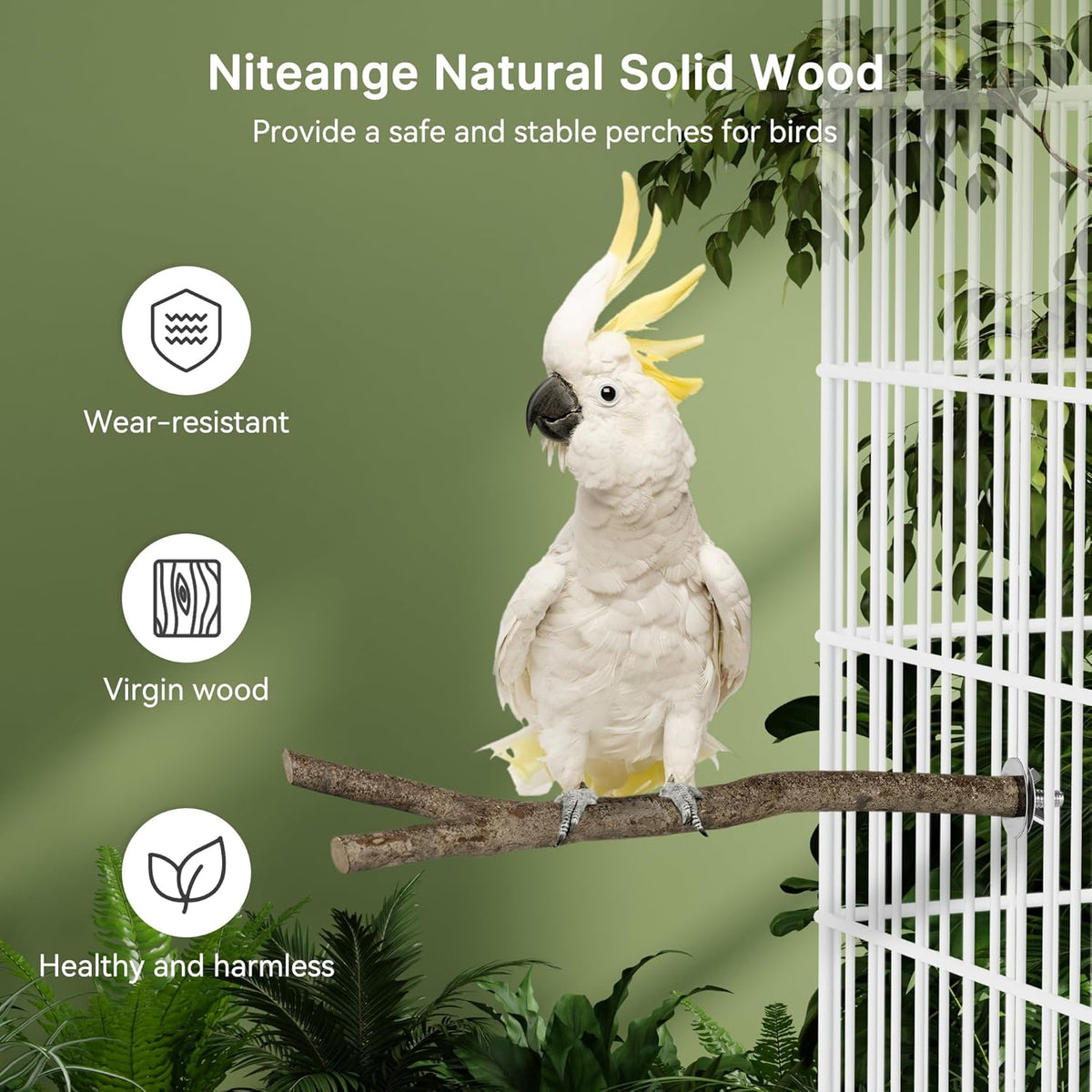 Niteangel Natural Wooden Perches for Bird Cages - Ideal for Cockatiels, Parakeets, Finches & Other