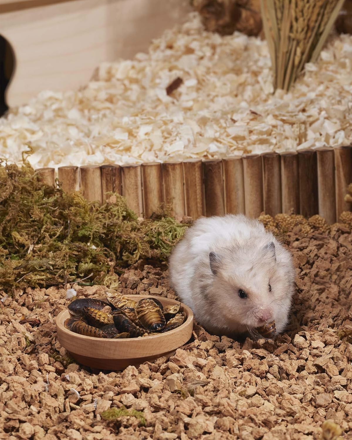 Niteangel Small Animal Snack & Treats - Small Critter Natural Treat for Dwarf Syrian Hamsters