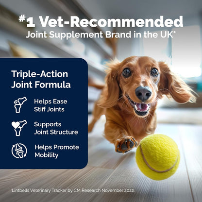 YuMOVE Hip & Joint Supplement for Dogs - With Glucosamine Chondroiton, Green Lipped Mussel