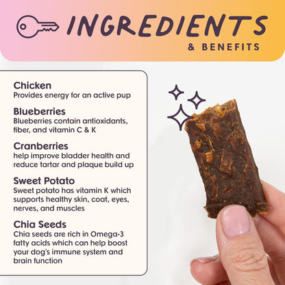 Bundle x Joy Rise & Shine Dog Treats, Chicken Jerky, Snack Bars, Puppy Training Treats, Natural