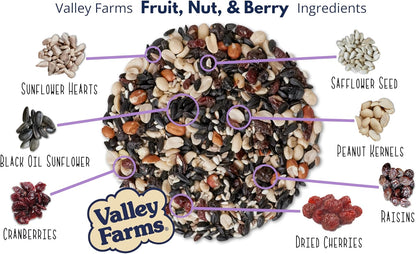 Valley Farms Fruit Nut & Berry 4 LB 2-Pack (8 LB Total) Wild Bird Food for Outside Feeders, Bird