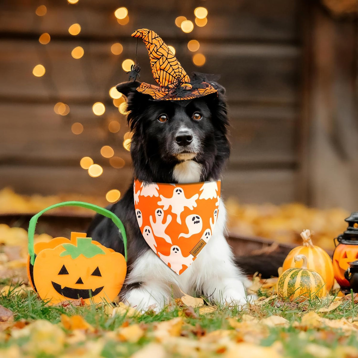 Halloween Dog Bandanas - 2 Pack Fall Dog Bibs | Reversible Pumpkin and Ghost Pet Scarf for Boys and