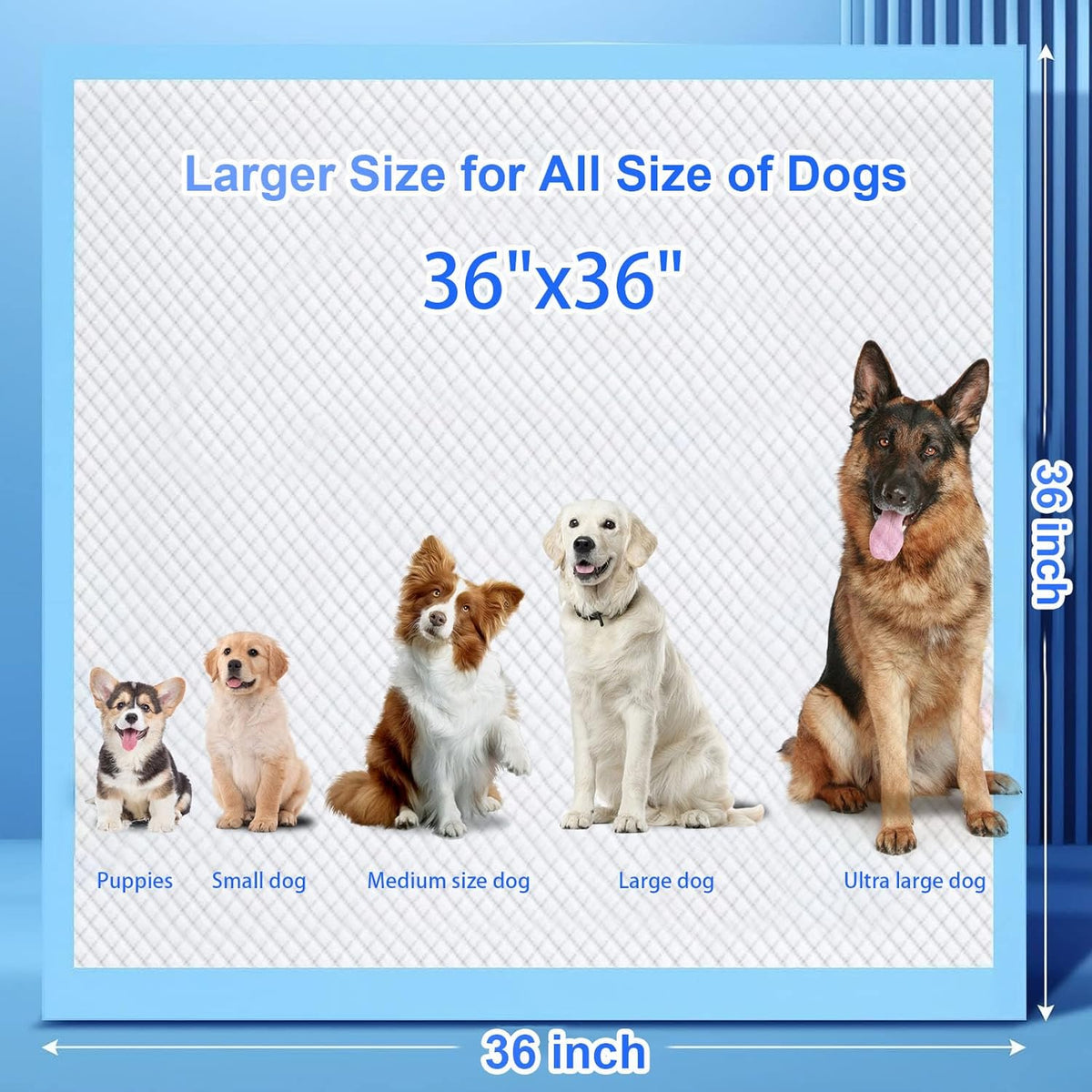 XXXL Puppy Pee Pads for Dogs 36"x36" 40 Count, Extra Large Dog Pee Pads, Leak-Proof & Super