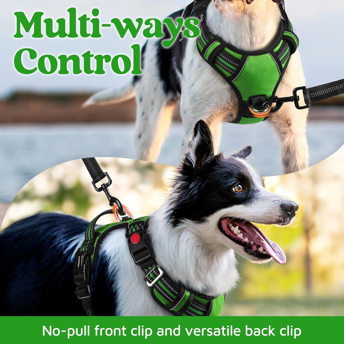rabbitgoo Dog Harness for Large Dogs, No Pull Pet Vest with 3 Buckles, Adjustable Soft Padded Pet