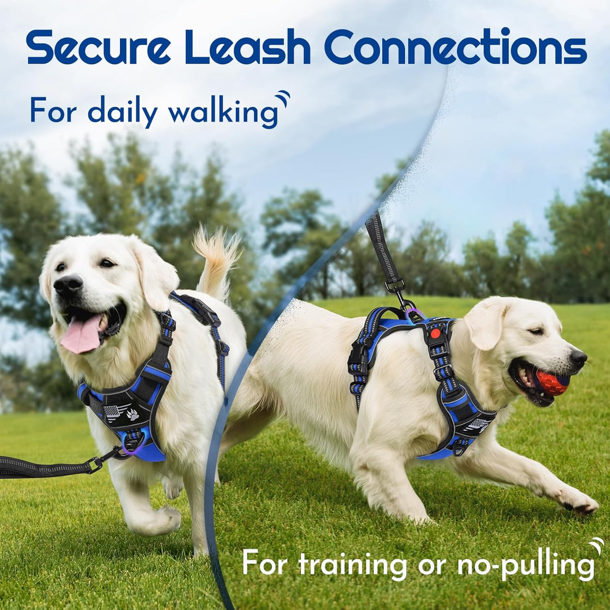 Eagloo Dog Harness Small Sized, Easy Wearing with 3 Buckles, Adjustable No Pull Pet Harness with 2