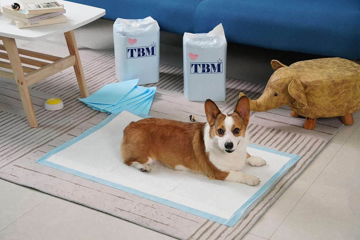 TBM Puppy Pads 100 Count - 23.6" x 23.6" - Super Absorbent Pee Pads for Dogs - Premium Leak-Proof