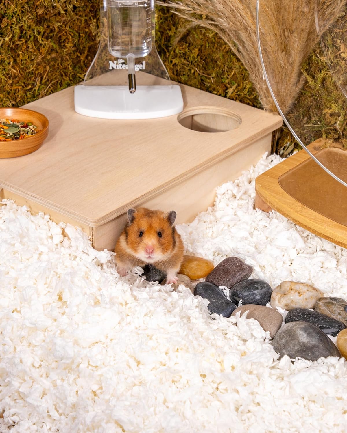 Niteangel Aspen Shaving Hamster Beddings for Syrian Dwarf Hamster Gerbil Mice Degu Rat Rabbit Bunny