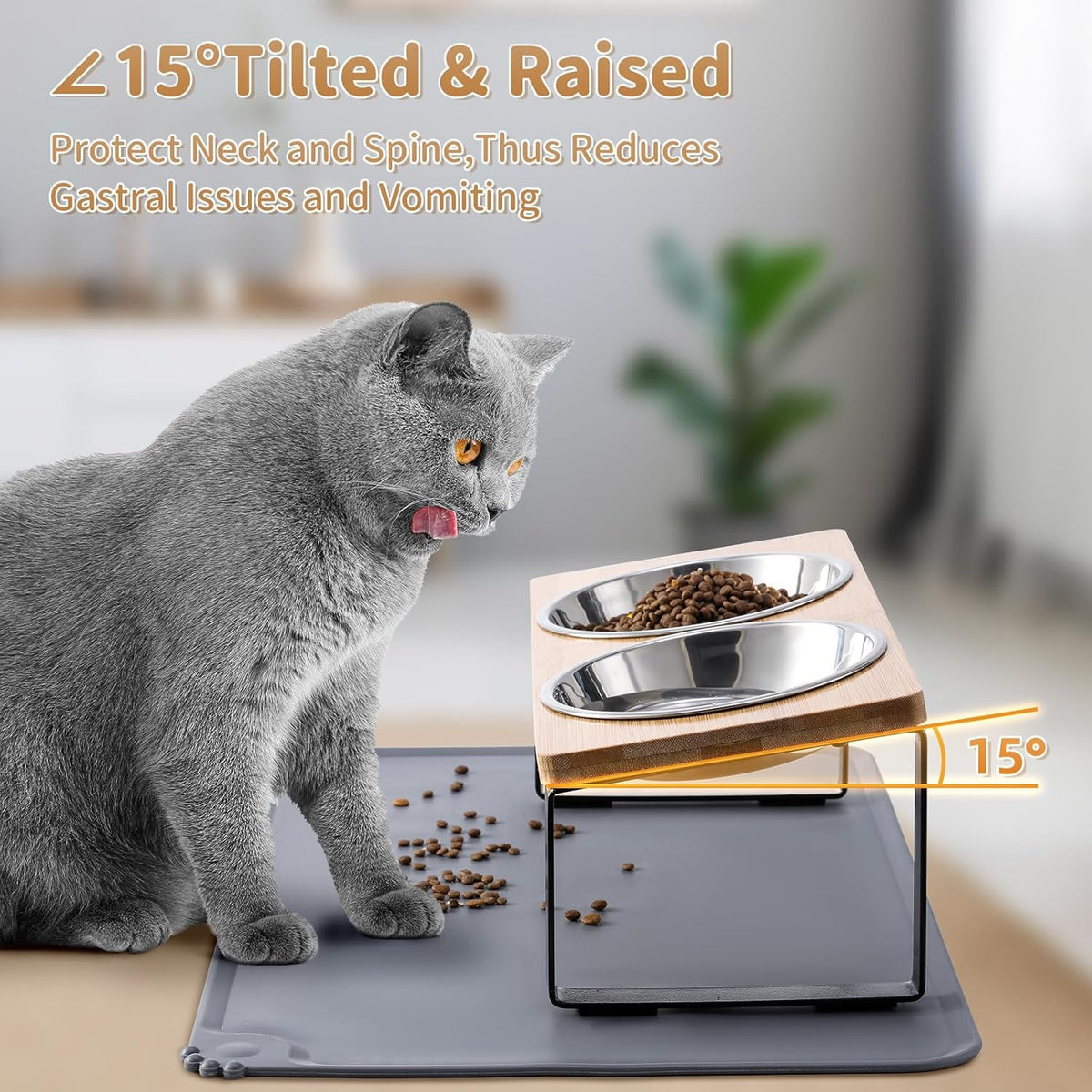 Upgraded Elevated Cat Bowls with Food Mat,15°Tilted Stand Anti Vomiting Raised Cat Dishes for Food