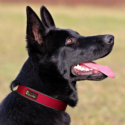 Plutus Pet Tactical Dog Collar, Reflective, Adjustable Heavy Duty Dog Collar, Soft Padded and