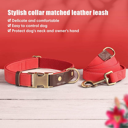 Didog Soft PU Leather Dog Collars for Small Dogs,Classic Adjustable Dog Collars with Quick Release