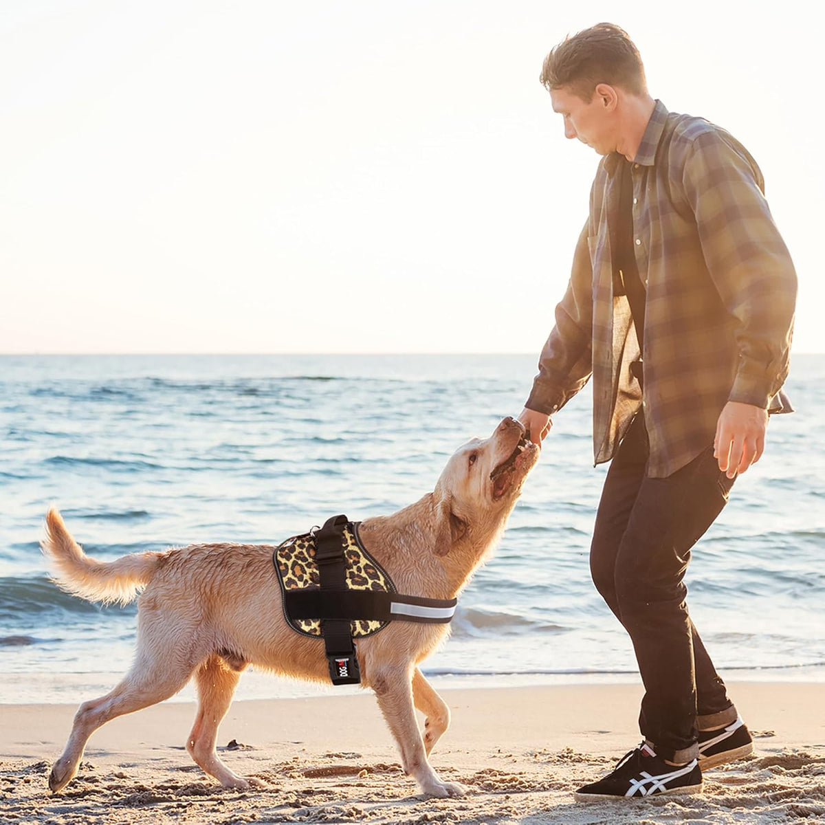Dogline Dog Harness, Reflective No-Pull Adjustable Vest with Handle for Walking, Training