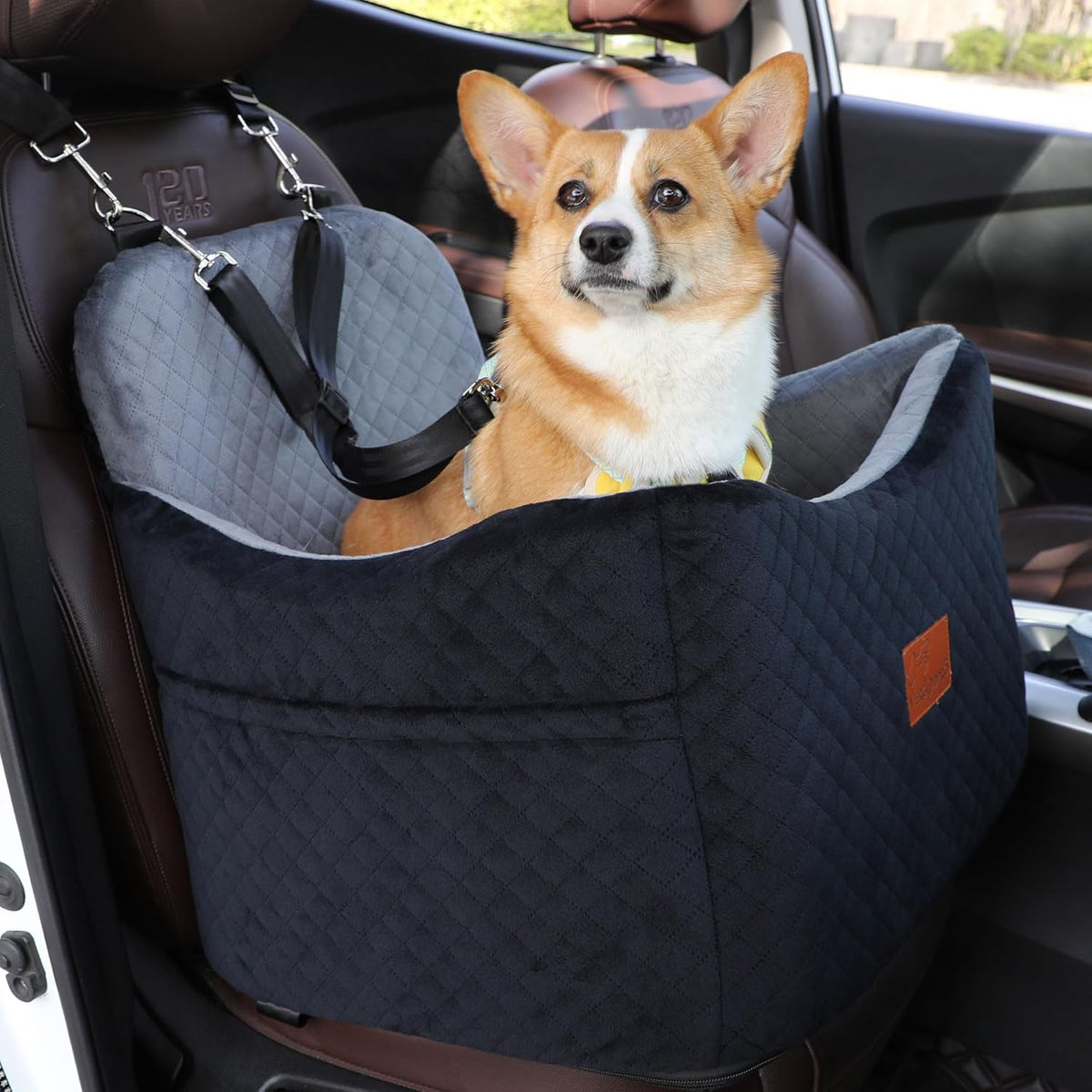 Dog Car Seat for Small Medium Dogs-Safety and Comfy Pet Booster Carseats with 2 Clip-On Satebelt &