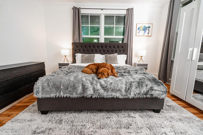 PupProtector Waterproof Throw Blanket for Dogs and Cats, Pet Blanket Cover for Couches, Sofas