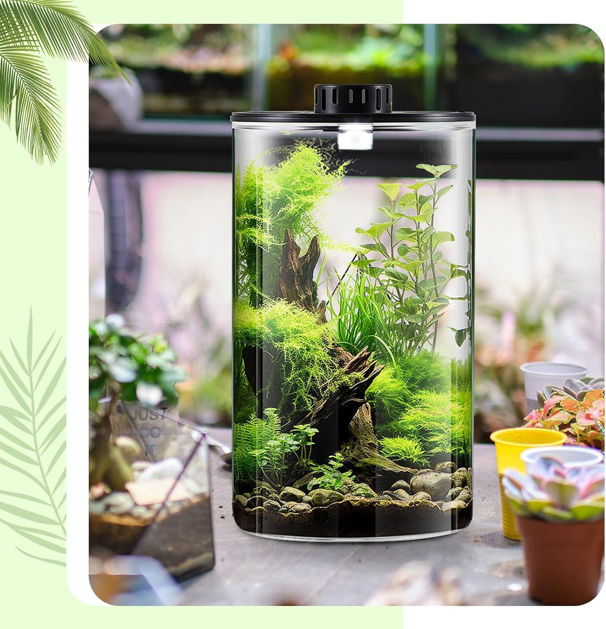 Maxdot Glass Plant Terrarium Kit with Light for Succulent, Moss, Miniature Gardening Landscape