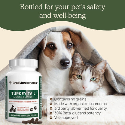 Real Mushrooms Turkey Tail Capsules for Pets –Cat Probiotics & Dog Vitamins – Organic Mushroom