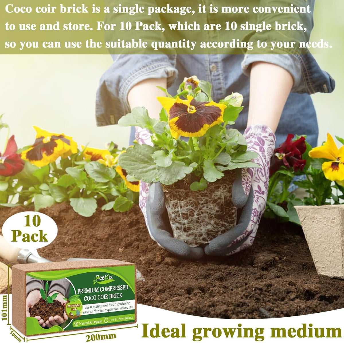ZeeDix 10 Pack Premium Coco Coir Brick, Organic Compressed Coconut Coir Bricks Seed Starter Potting