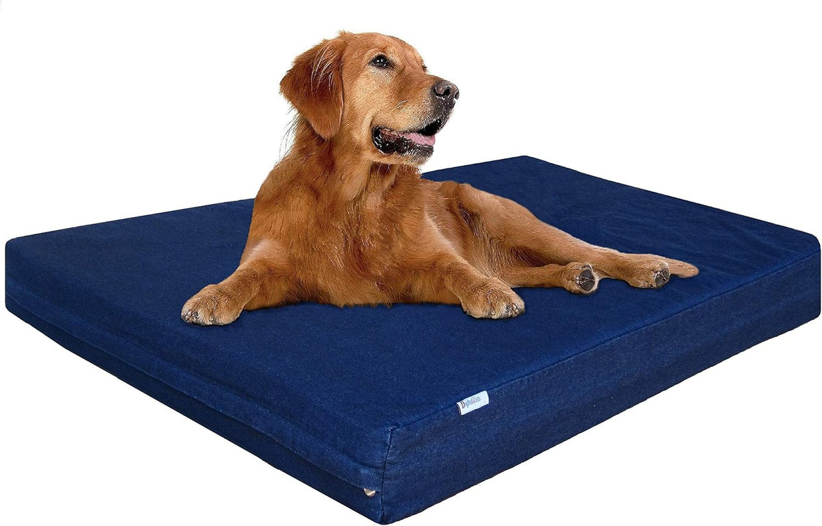 Dogbed4less Extra Large Orthopedic Memory Foam Dog Bed for Large Dogs with Durable Waterproof