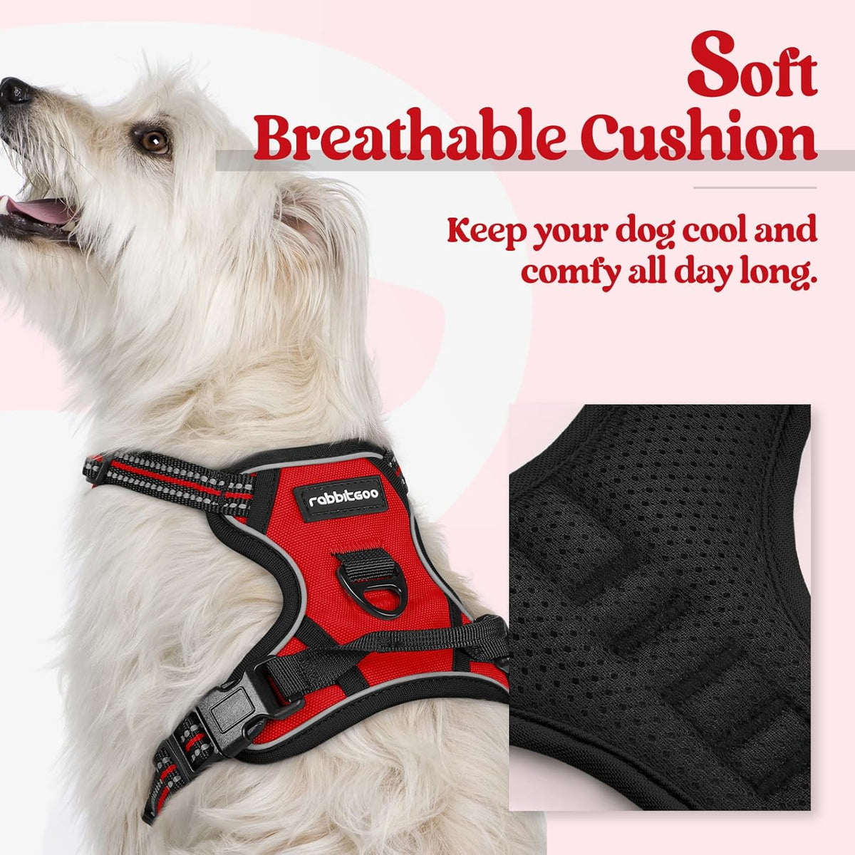 rabbitgoo Dog Harness No Pull with 2 Leash Clips, Adjustable Soft Padded, Reflective Oxford No