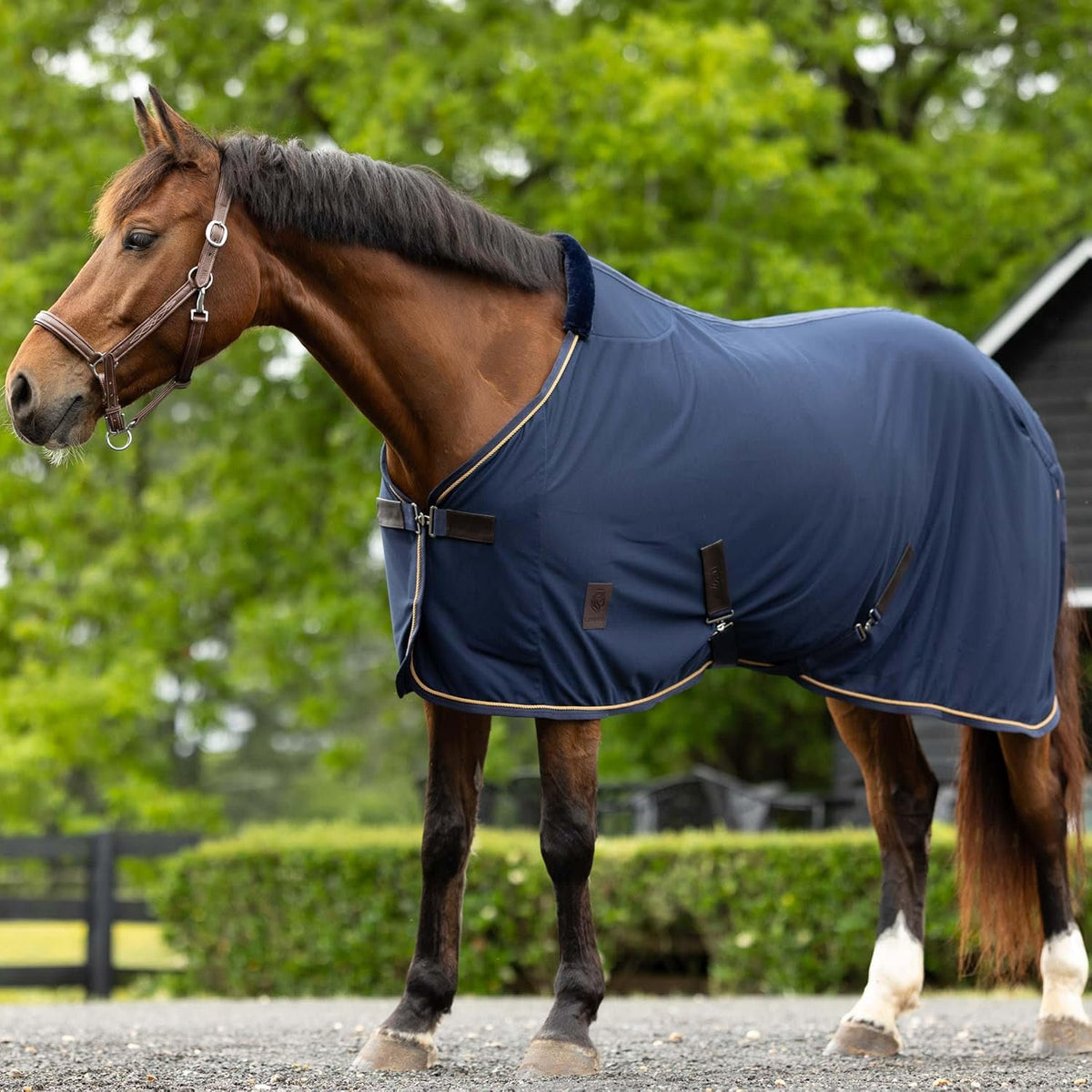 HORZE Warren Soft Adjustable Genuine Leather Horse Halter | Stainless Steel Hardware - Light Brown