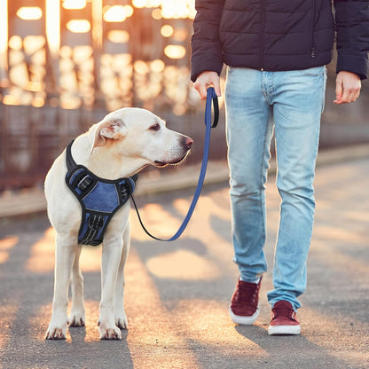 BUMBIN Dog Harness for Large Dogs, No Pull Adjustable No Choke Pet Vest with Dog Leash Fit Smart