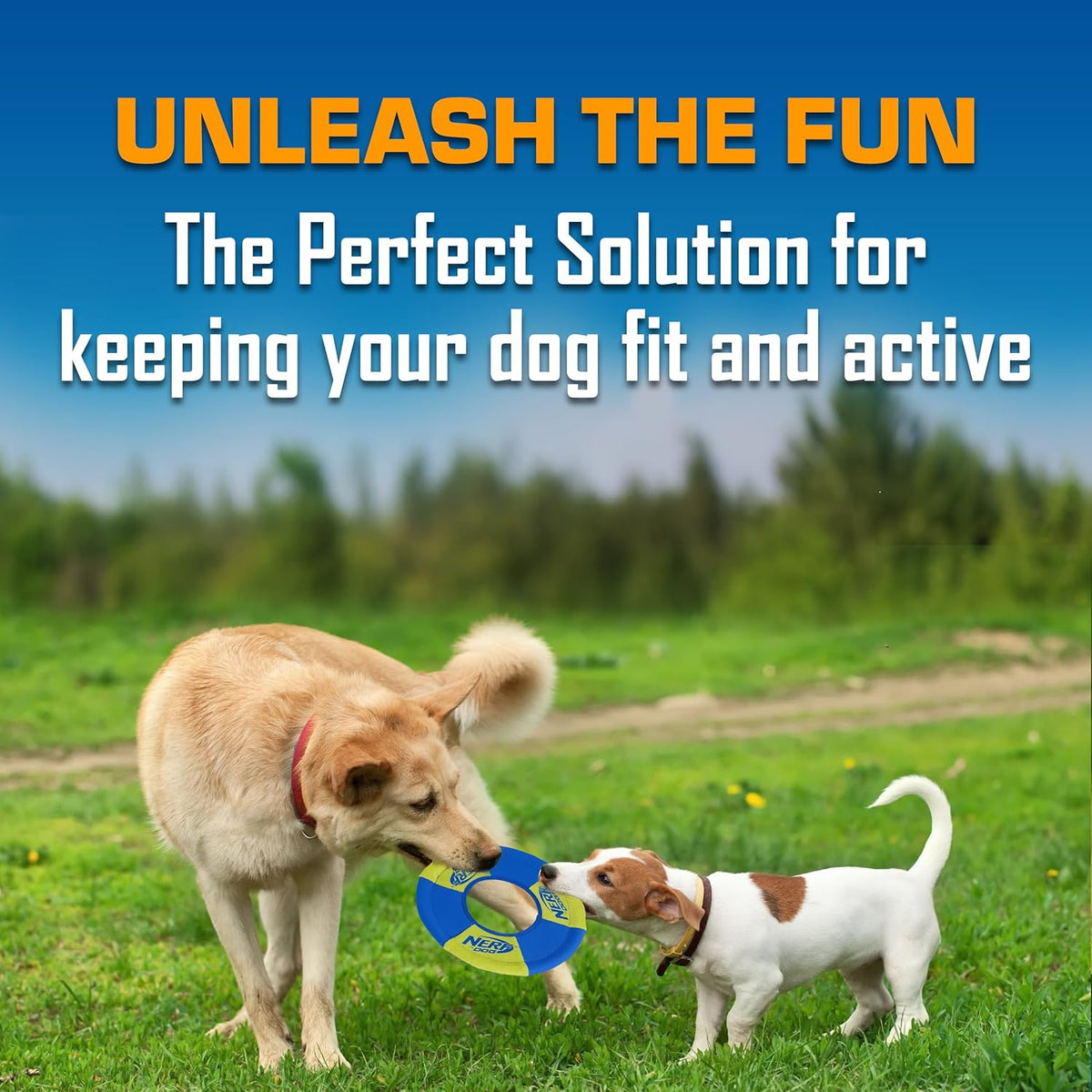Nerf Dog Trackshot Toss and Tug Ring Outdoor Dog Toy 2 Pack, 9 Inch Dog Tug and Fetch Toy, for