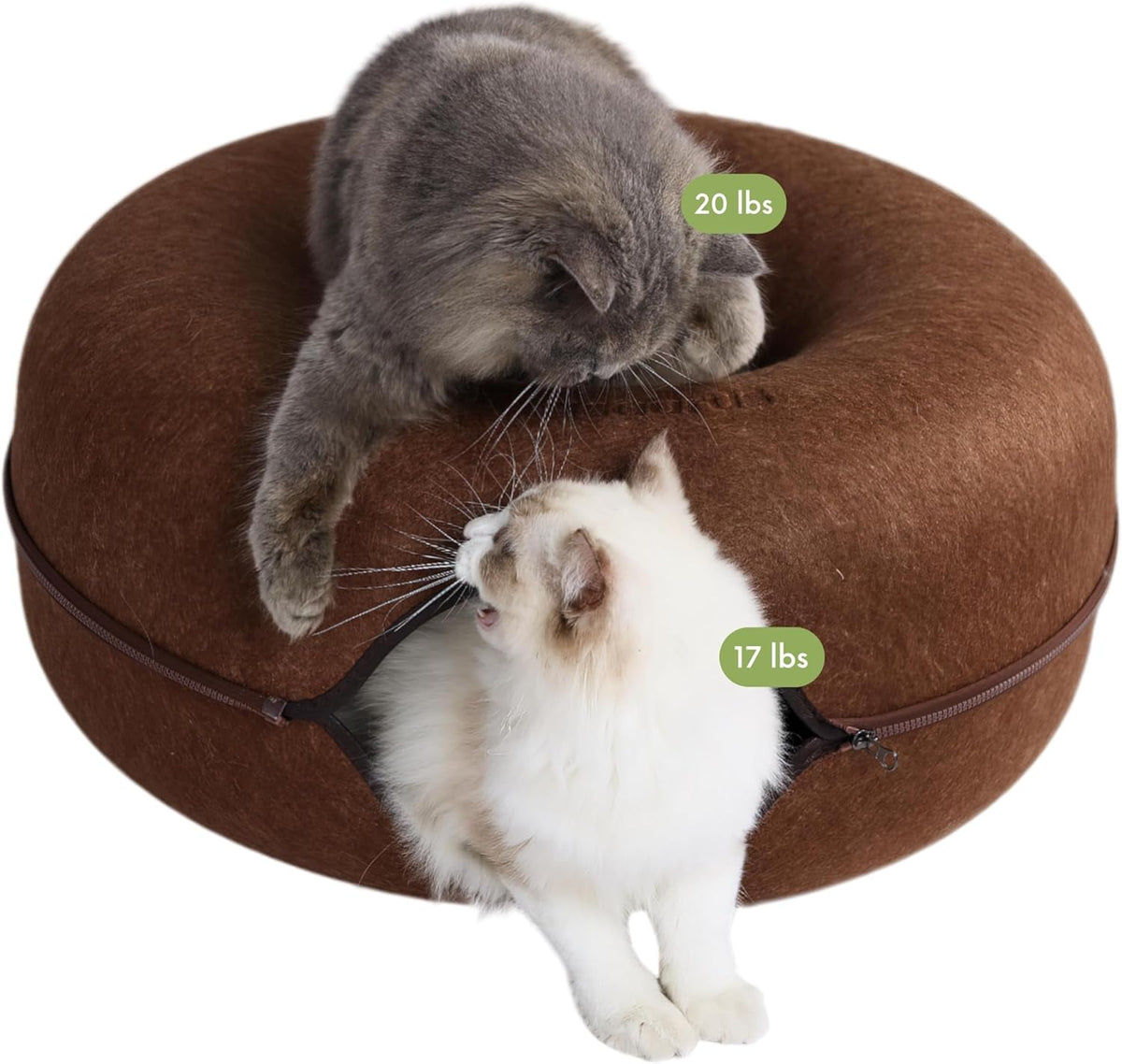Cattasaurus Peekaboo Cat Cave for Multiple & Large Cats Up to 30-45 Lbs, Scratch Detachable &