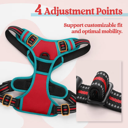 rabbitgoo Dog Harness No Pull with 2 Leash Clips, Adjustable Soft Padded, Reflective Oxford No