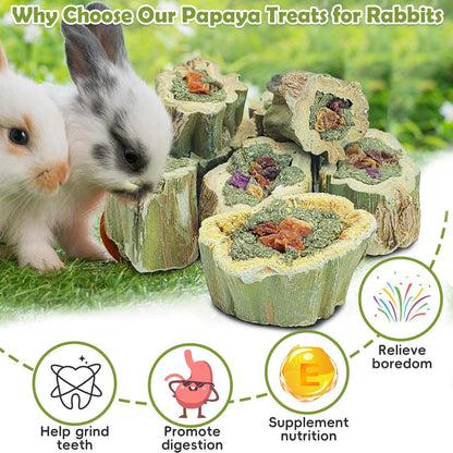 Fhiny Rabbit Chew Toys Natural Baked Papaya Wood Bunny Molar Treats Contain Alfalfa Grass Apple