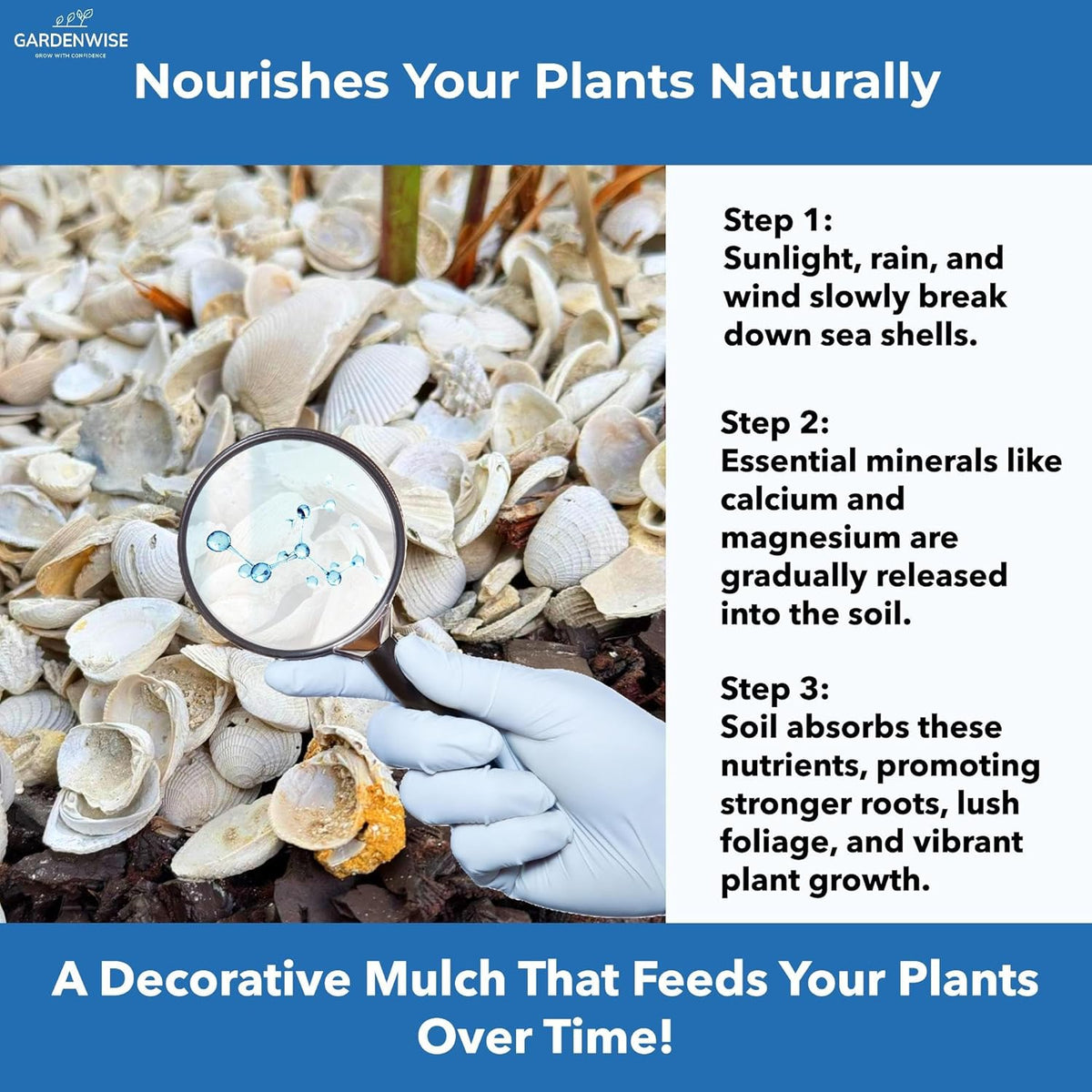 Natural Organic Sea Shell Mulch for Gardens and Landscaping – Decorative and Nutrient-Rich