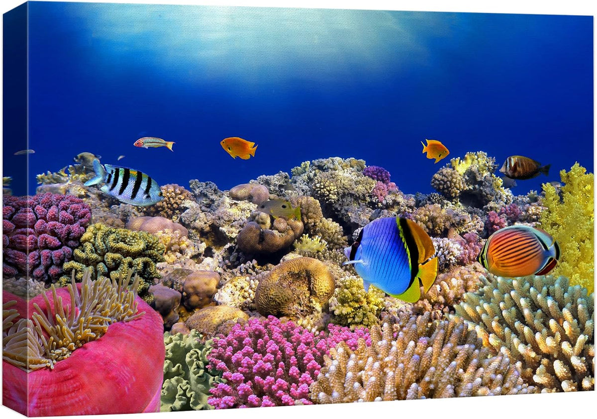 wall26 Canvas Print Wall Art Vibrant Coral Reef Anemone Fish Ecosystem Nature Animals Photography