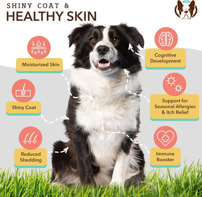 Natural Dog Company Healthy Joints, Skin and Coat Bundle for Dogs, Includes (1) Bottle Natural Dog