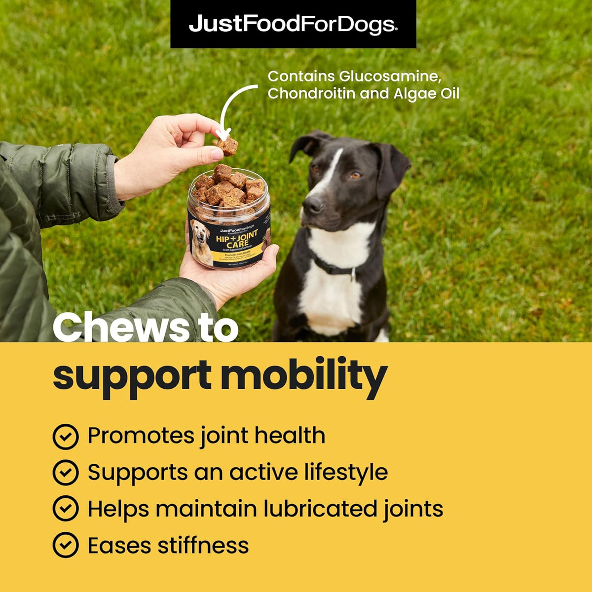 JustFoodForDogs Hip + Joint Soft Chews Mobility Supplement for Dogs with Glucosamine and
