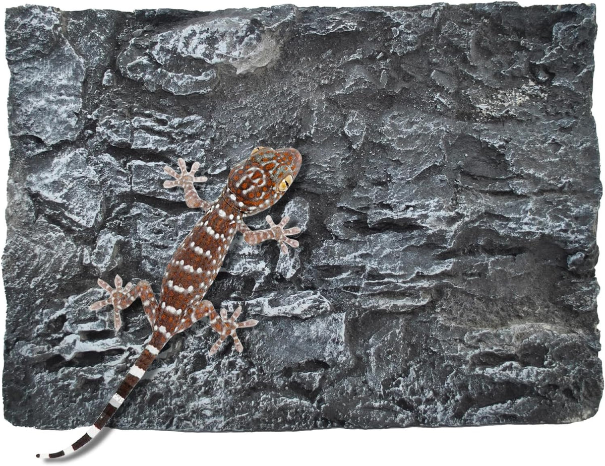 Reptile Tank Background Board Rock Terrarium Cork Background Board 3D Wall Backdrop Aquarium DéCor