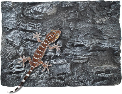 Reptile Tank Background Board Rock Terrarium Cork Background Board 3D Wall Backdrop Aquarium DéCor