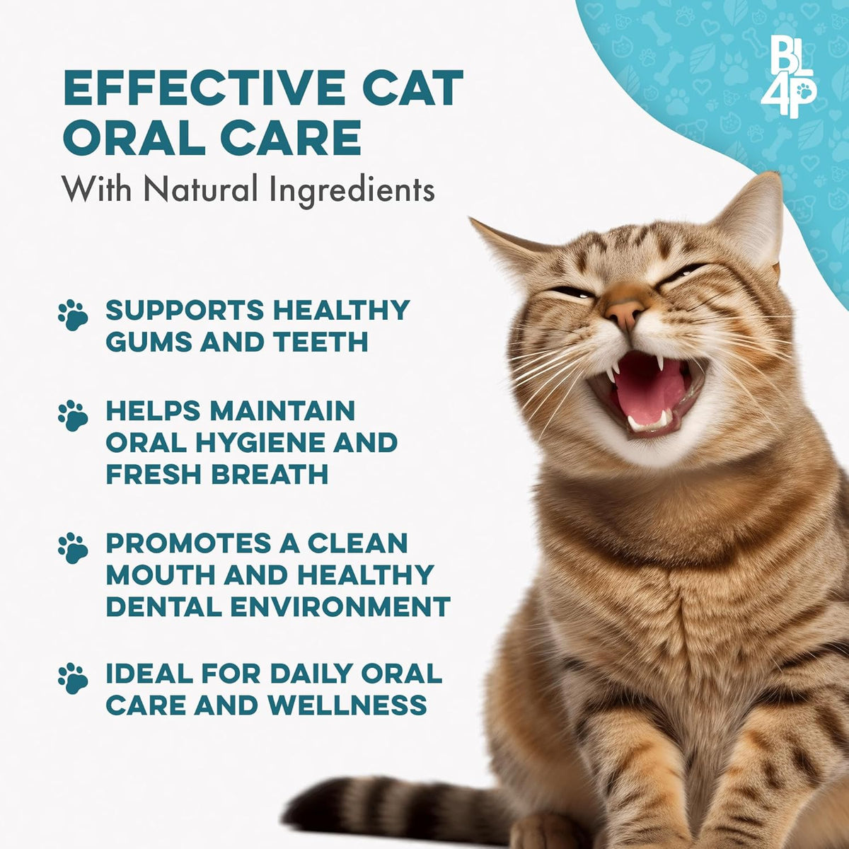 Cat Bad Breath & Oral Health Remedy, Natural Dental Care Cats Teeth, Mouth and Gums, Easy to Use