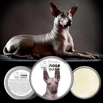 The Blissful Dog Xoloitzcuintli Nose Butter for Dry, Cracked Skin, Lick-Safe Dog Nose Balm with