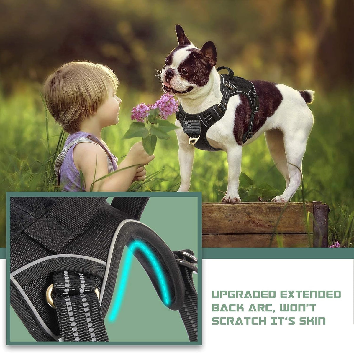BUMBIN Tactical Dog Harness for Small Dogs No Pull, Famous TIK Tok No Pull Puppy Harness, Fit Smart