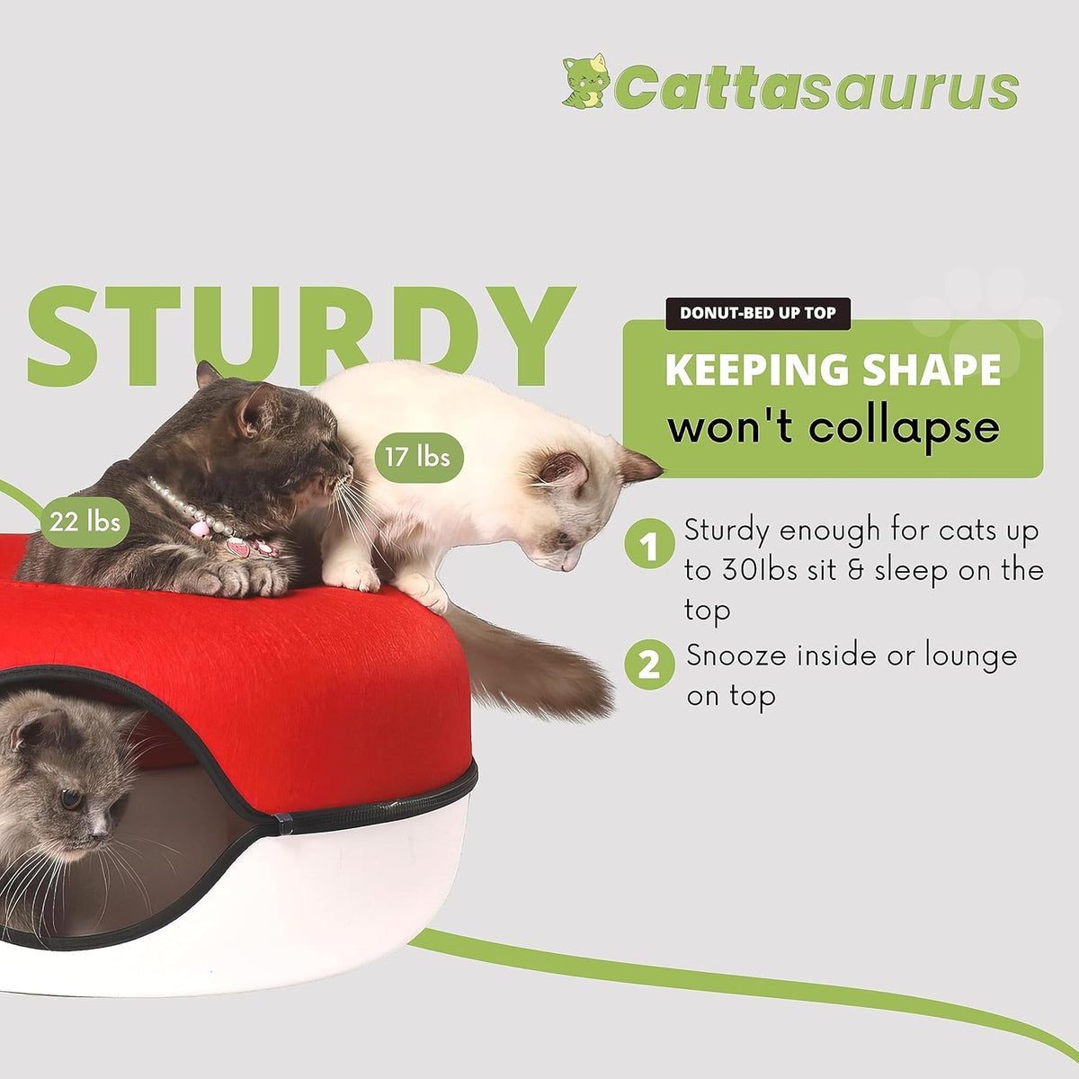 CATTASAURUS Peekaboo Cat Cave for Multiple & Large Cats Up to 30-45 Lbs, Scratch Detachable &
