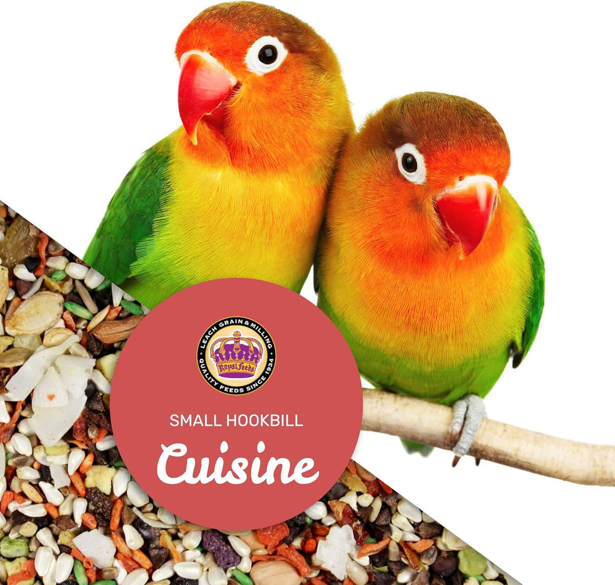 Small Hookbill Cuisine, 4 Lbs Premium Birdseeds for Parrot, Bird Food for Small Hookbill, Supports