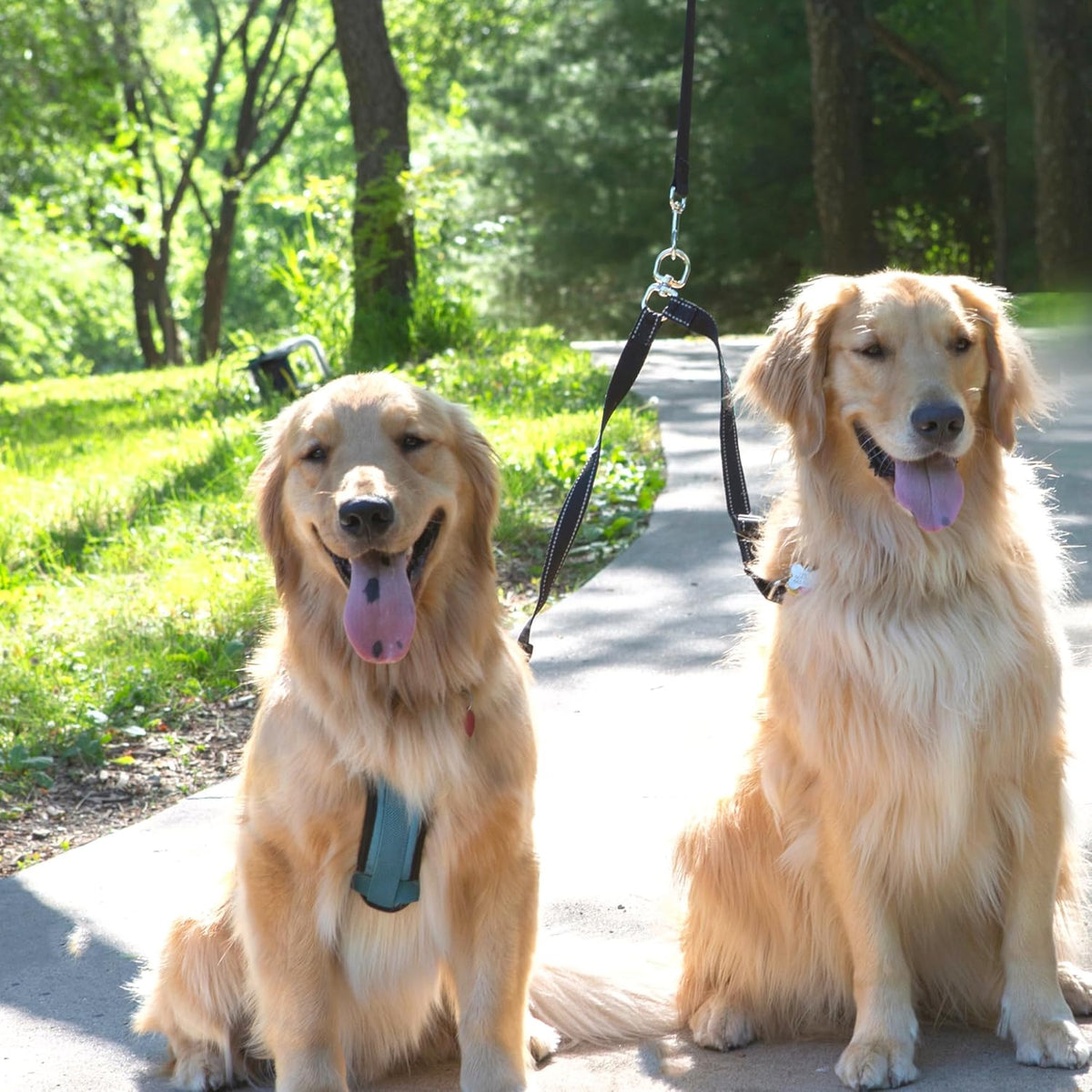 Caldwell's Pet Supply Co. Leash Coupler, Two Dog Leash Splitter to Split Leashes for Walking 2