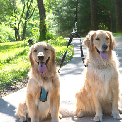 Caldwell's Pet Supply Co. Leash Coupler, Two Dog Leash Splitter to Split Leashes for Walking 2