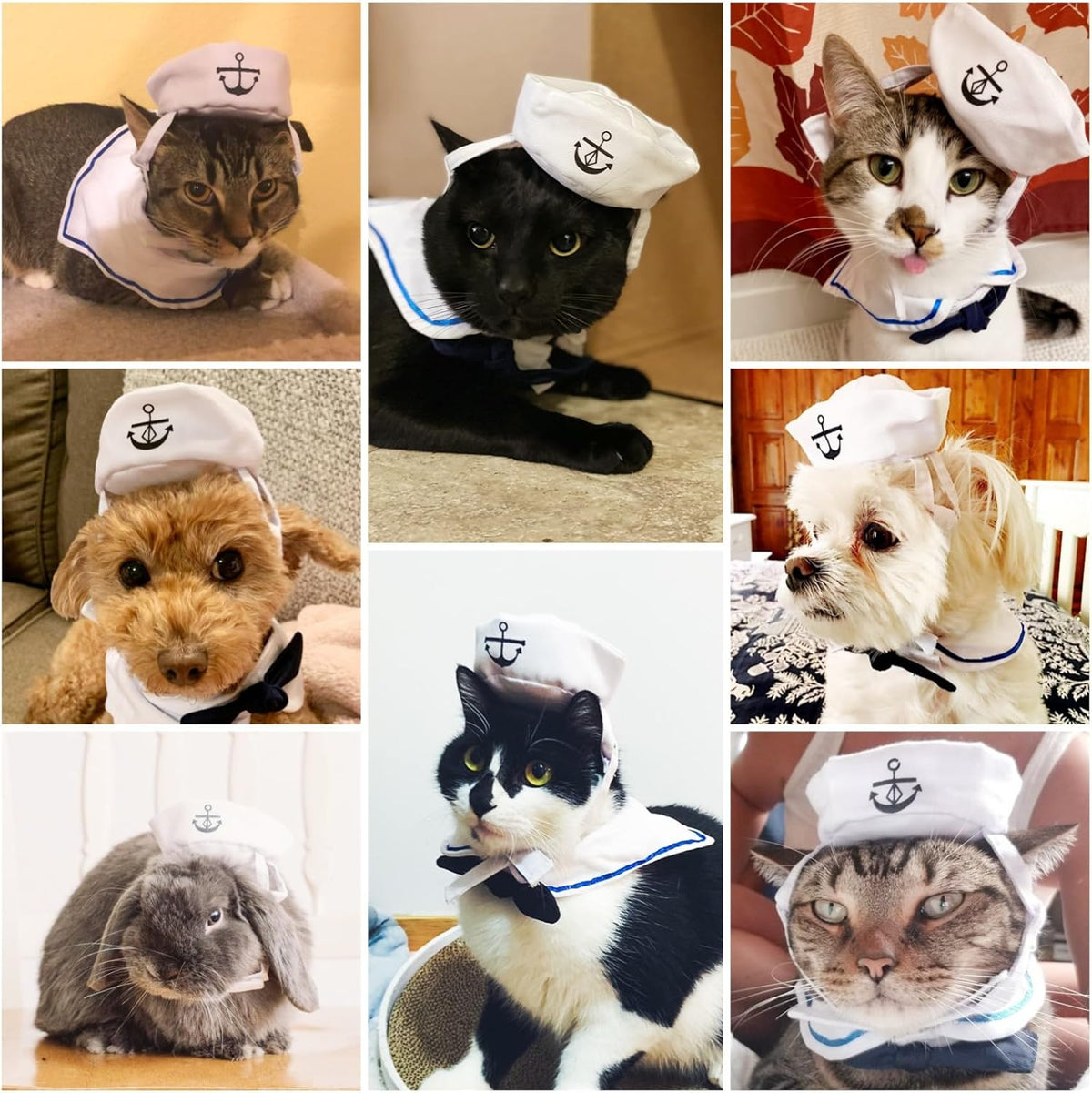 Enjoying Cat Sailor Costume, Halloween Small Dog Sailor Hat Outfit with Tie, Adjustable Pet Navy
