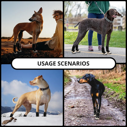 Dog Shoes for Hot Pavement Anti-Slip Dog Boots & Paw Protectors for Summer Rainy Day Dog Snow Boots