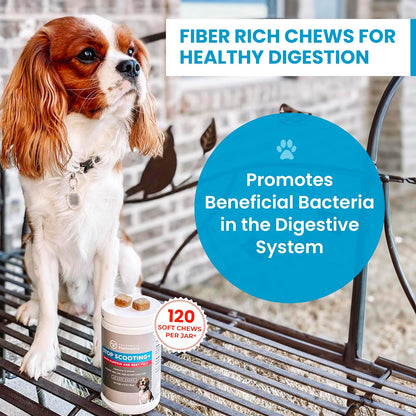 PawMedica Dog Anal Gland Chews to Stop Scoot for Dogs - Anal Gland Dog Constipation Relief