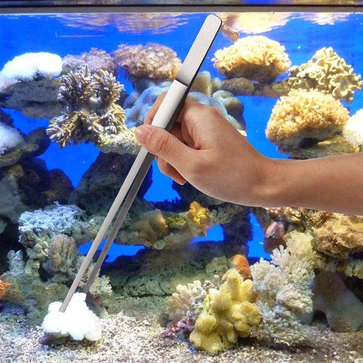 Aquarium Aquascaping Tool, Long Tweezers Scissors Spatula, 4 in 1 Stainless Steel Aquatic Plants