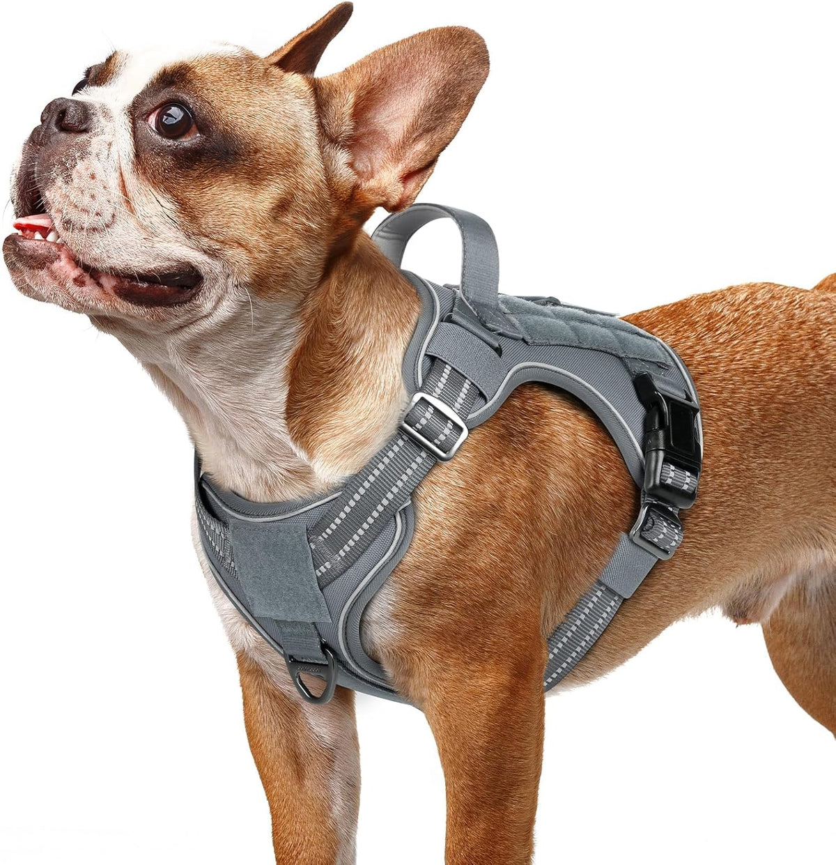 rabbitgoo Dog Harness Small Sized No Pull, Tactical Service Pet Vest with Molle and Control Handle