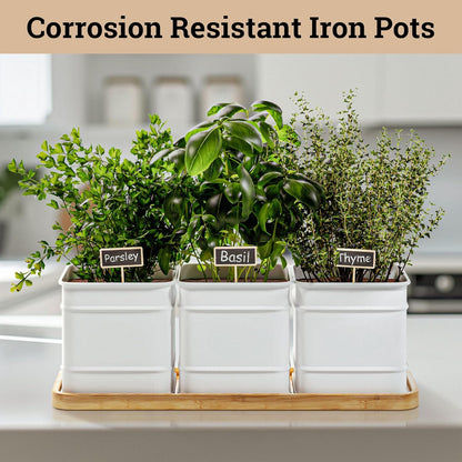 Herb Planter Indoor - 3 Iron Herb Pots with Drainage Holes, Varnished Bamboo Tray, Customizable