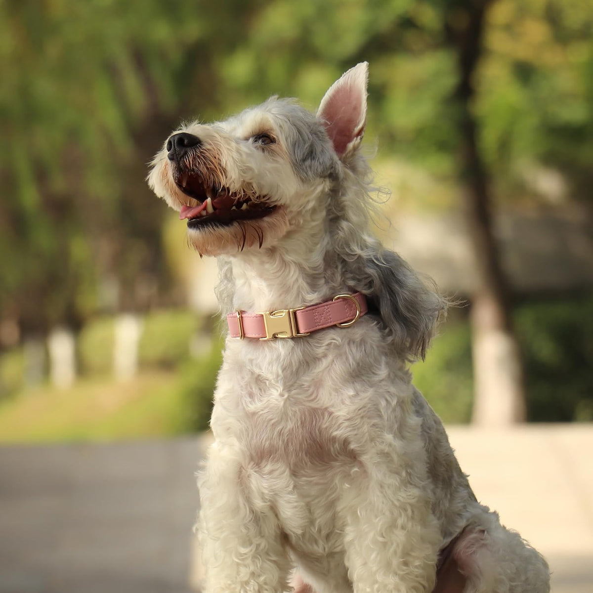 PET ARTIST Soft PU Leather Dog Collar, Bright & Classic Pink Dog Collar with Quick Release Rose