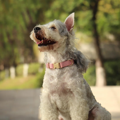 PET ARTIST Soft PU Leather Dog Collar, Bright & Classic Pink Dog Collar with Quick Release Rose