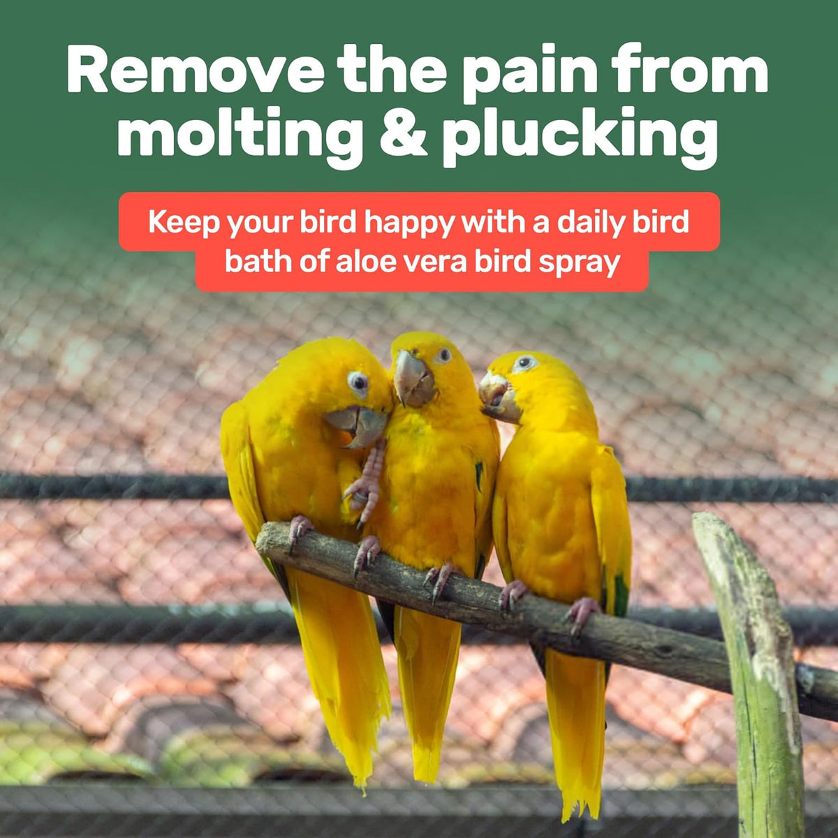 Aloe Vera Bird Spray - 8.5oz/251mL - [Made in USA] - Non-Toxic Bird Bath Relieves Dry/Itchy Skin &